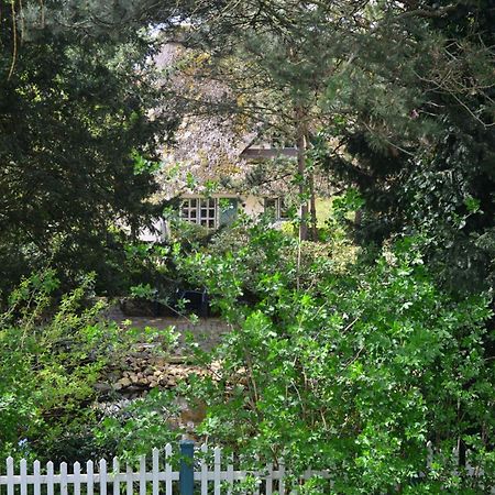 Ferienhof Tom Diek Jork Εξωτερικό φωτογραφία